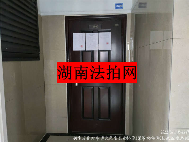 勤誠達境界城（勤誠達新界）法拍房C地塊3#棟1003室