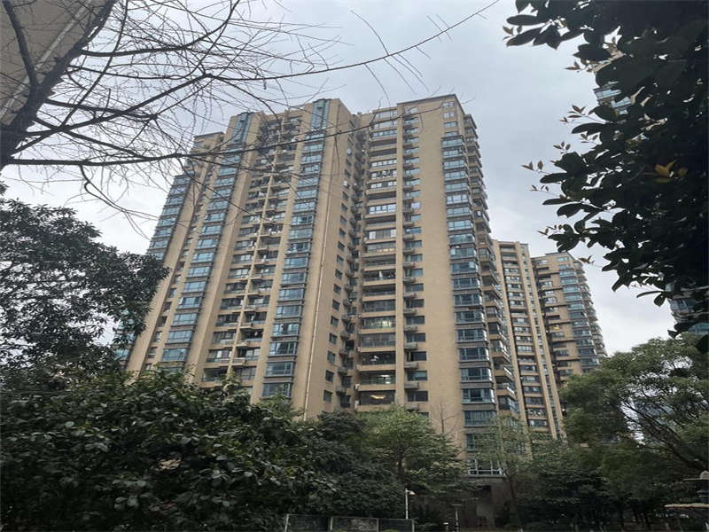 湘府9號(hào)（湘府久號(hào)家園）法拍房3棟2601、2701房